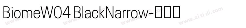 BiomeW04 BlackNarrow字体转换 BiomeW04 BlackNarrow字体转换